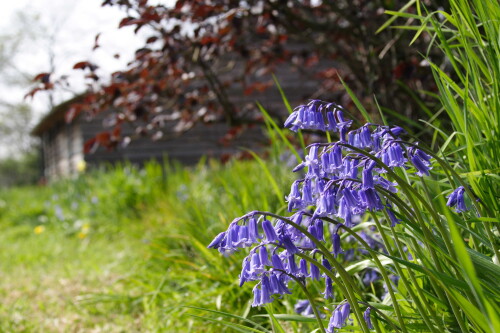 It was a lovely April.  Shame it's rained ever since.