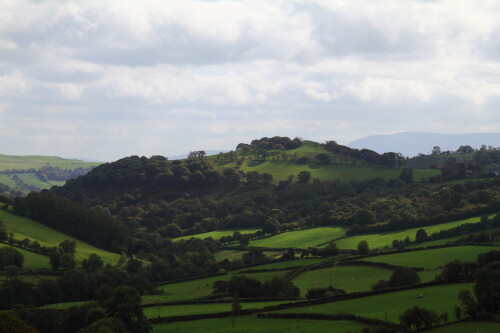 View from the window