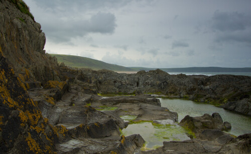 Murky green pools of seaweed