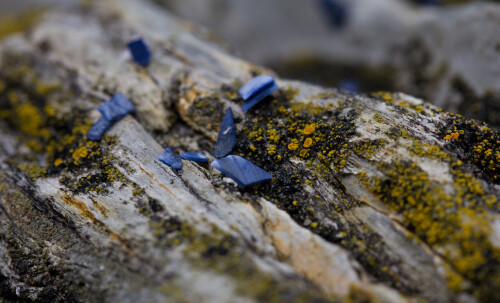 These were right up on the top of a rock formation that I was slowly working my way up.  No idea what they are or why they haven't been washed away.