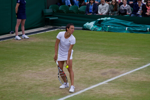 Focus - Schiavone [24] v Kvitova [4] - Day 7 - Wimbledon 2012