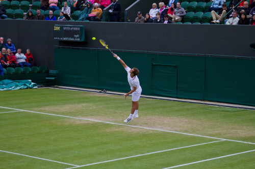 Service - Gasquet [18] v Mayer [31] - Day 7 - Wimbledon 2012