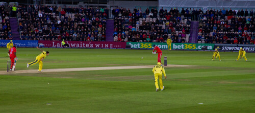 "We love Mitchell Johnson, his bowling is questionable".

http://www.bbc.co.uk/sport/0/cricket/24120183