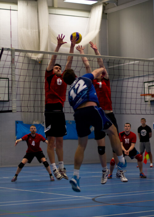 Team Southampton B v South Hants
7th February 2016
Thanks to Alan for taking the photos.