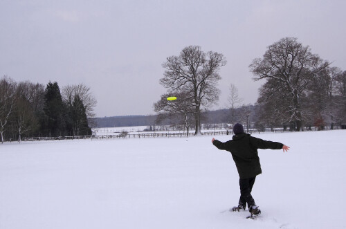 When playing disc golf in the snow, always use a yellow disc.