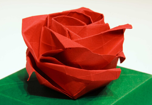 Everyone goes through an origami phase at some stage; mine was half way through University.  For me, the ultimate challenge was the Kawasaki Rose, partly because it was so fiddly, partly because it had something like a hundred folds, but mostly because the only instructions I could find seemed to miss out the difficult bit in the middle.  

I recently challenged a friend to make one, giving him two weeks so's he could make it for his fiancée in time for Valentine's day.  Progress seemed to be made for the first couple of days until he reached the point where the instructions turned a bit fuzzy, and I haven't heard anything since.  I wonder if he finished it.

Happy Valentine's day to those that will enjoy it.